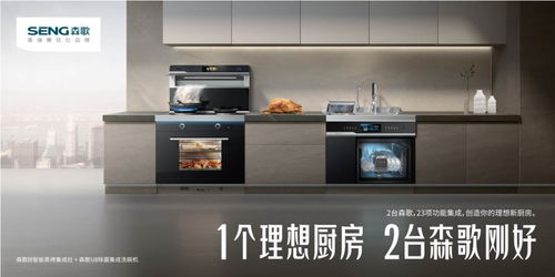 冠軍的理想廚房需要具備哪些核心要素 國(guó)民品質(zhì)2臺(tái)森歌剛好